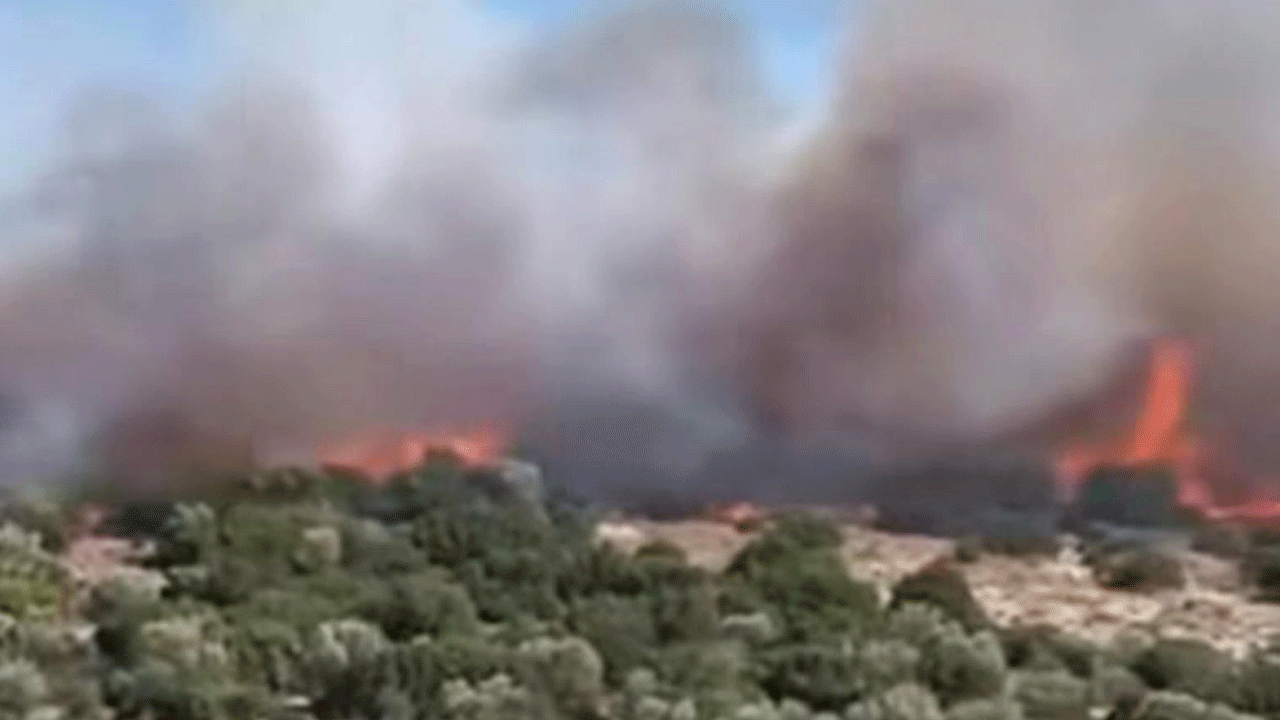 İzmir'de sıcak saatler! Uçak ve helikopterler müdahale ediyor