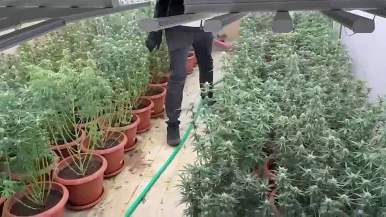 İzmir’de şok olay! Villayı uyuşturucu bahçesine çevirmişler