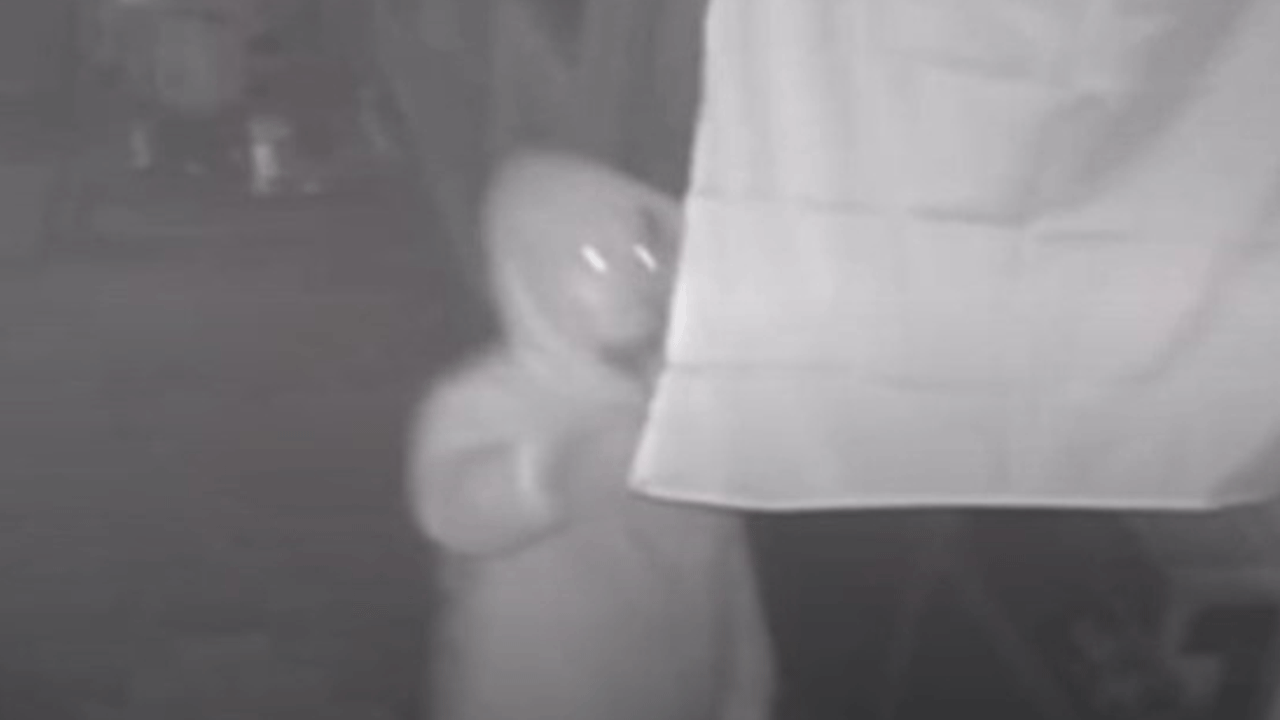 İzmir'de Türk bayrağına çirkin saldırı!