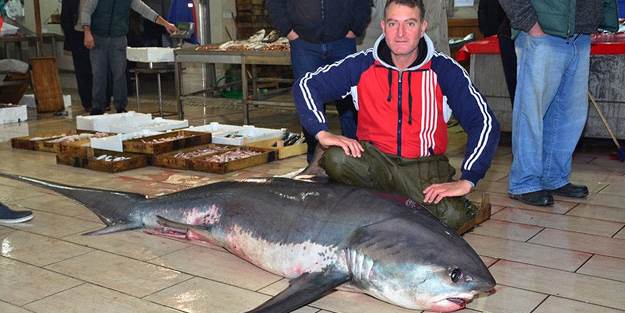 İzmir'de üç metrelik ‘canavar’