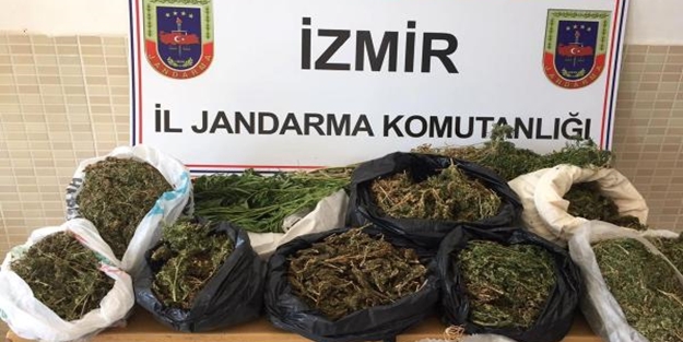 İzmir'de uyuşturucu operasyonu