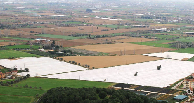 İzmir'de yaz patatesine elyaflı don önlemi