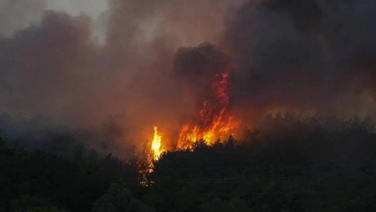 İzmir’de yeniden orman yangını çıktı!