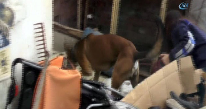 İzmir'de zehir tacirlerine dev operasyon