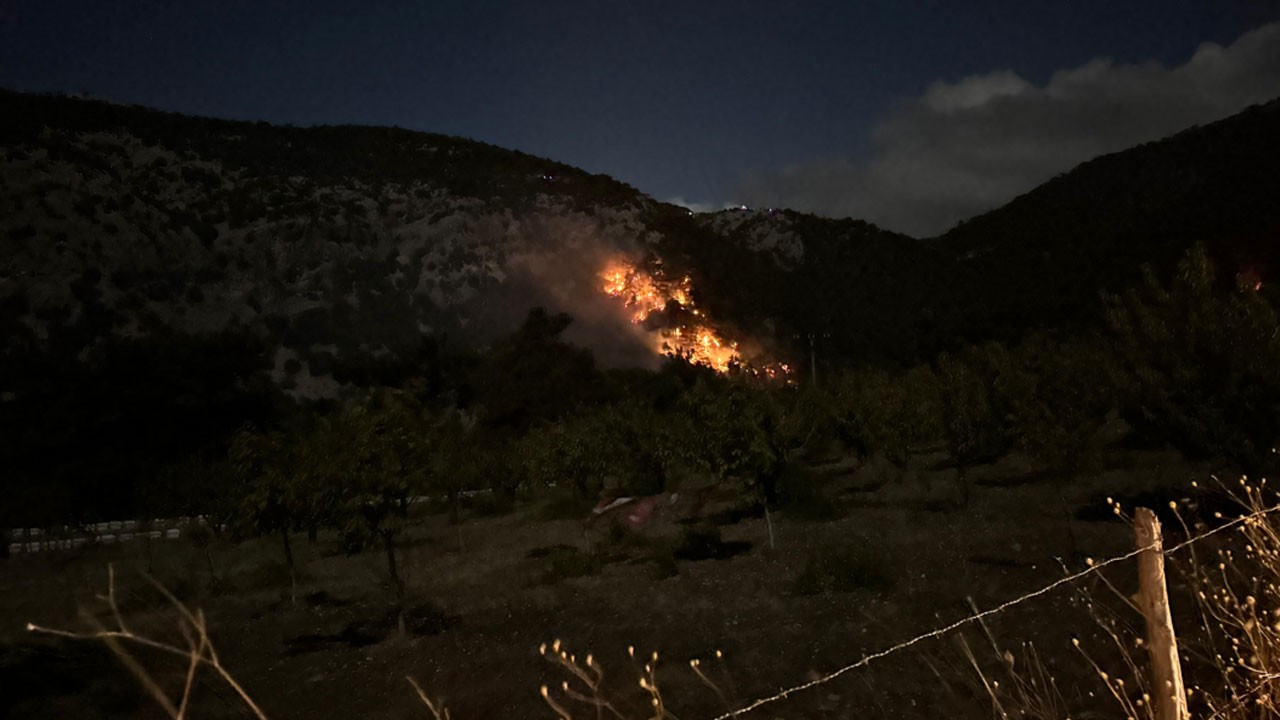 İzmir'deki orman yangını 3 saatte kontrol altına alındı