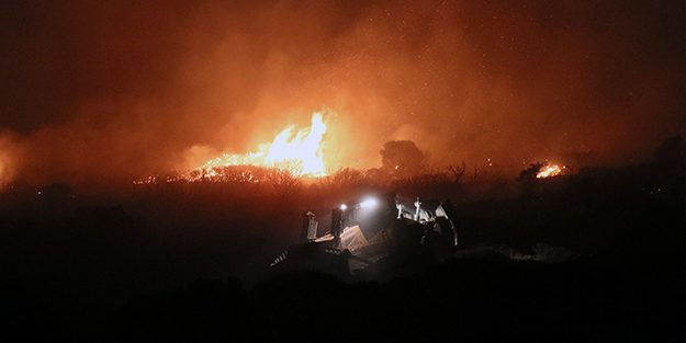 İzmir'deki orman yangını kontrol altında kundakçı gözaltında