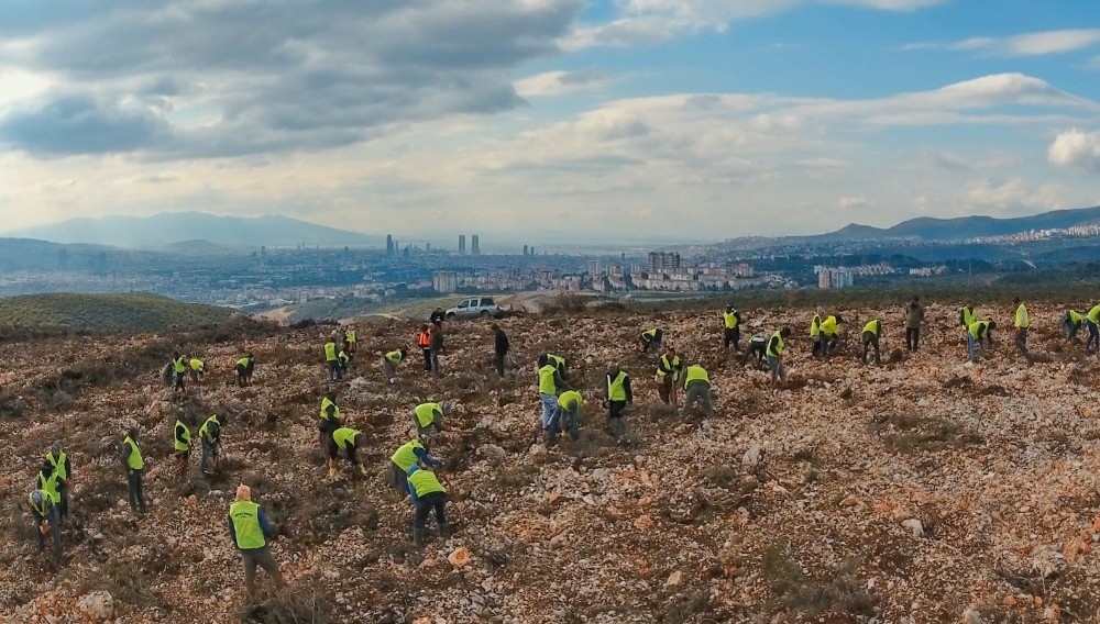İzmir’e 10 yılda 28 milyon adet fidan 