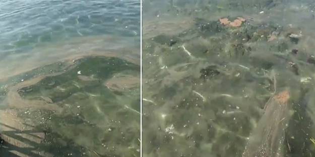 İzmir'i adeta 'şey' götürüyor! İzmir Marşı'yla tepinen Tunç Soyer 'hizmet'te sınıfta kaldı