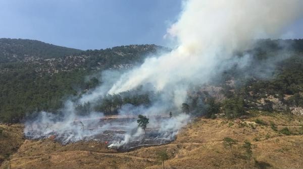 İzmir'in Buca İlçesi'ndeki orman yangınına havadan müdahale
