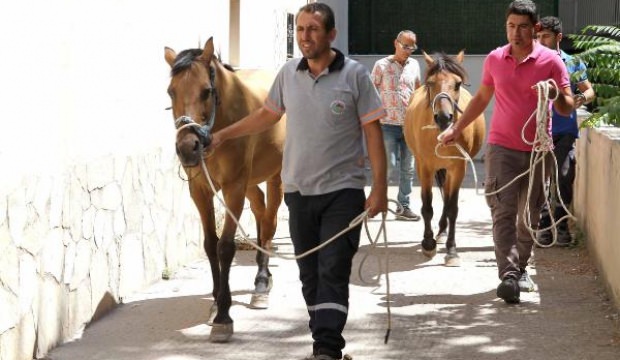 İzmir'in Karşıyaka ilçesinde at operasyonu