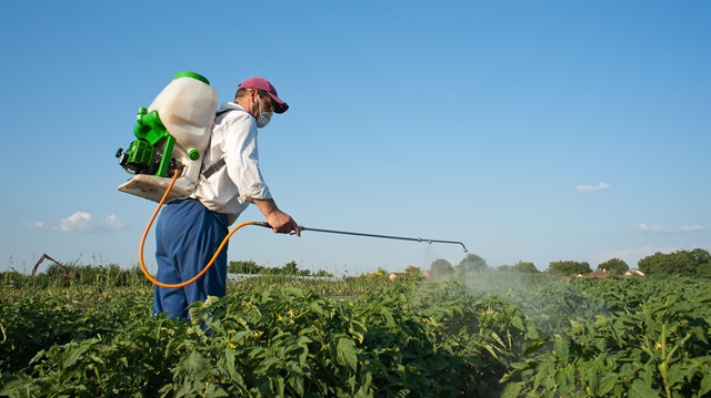 İzmirli üreticilere 52 milyonluk destekleme ücreti
