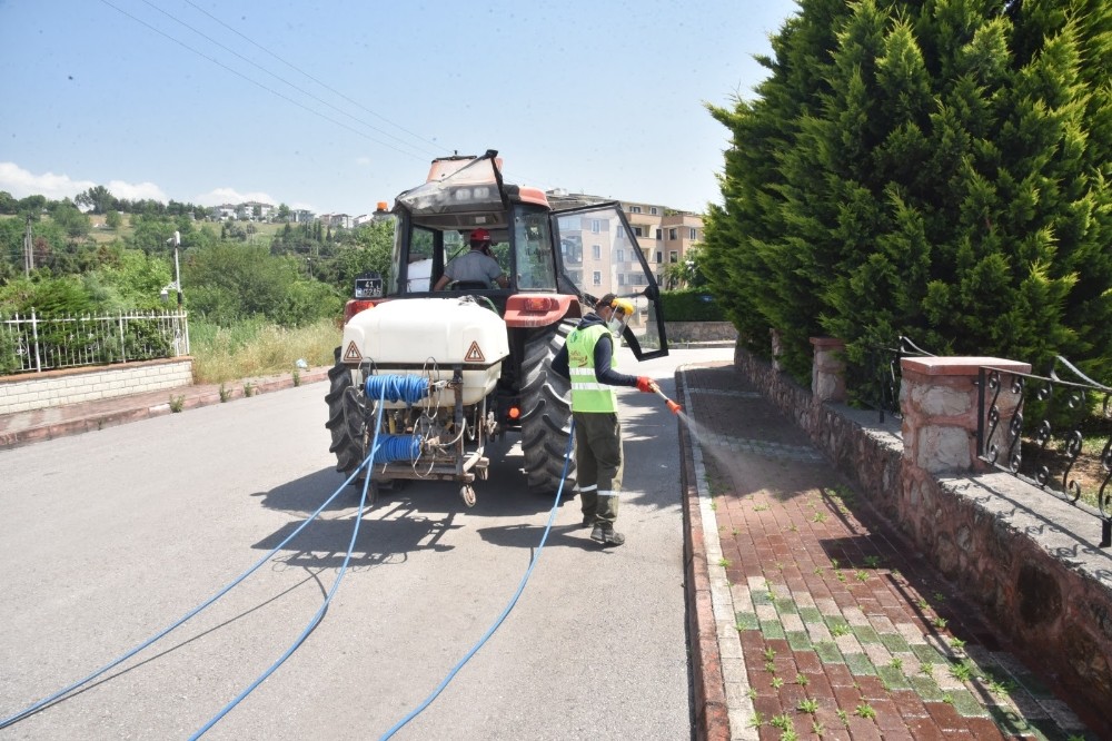 İzmit Belediyesi haşere ile mücadelede hız kesmiyor 