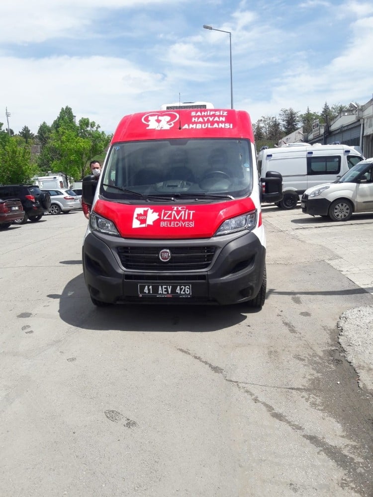 İzmit Belediyesi’nden sokak hayvanlarına ambulans hizmeti 