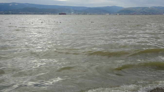 İzmit Körfezi, çamur rengini aldı