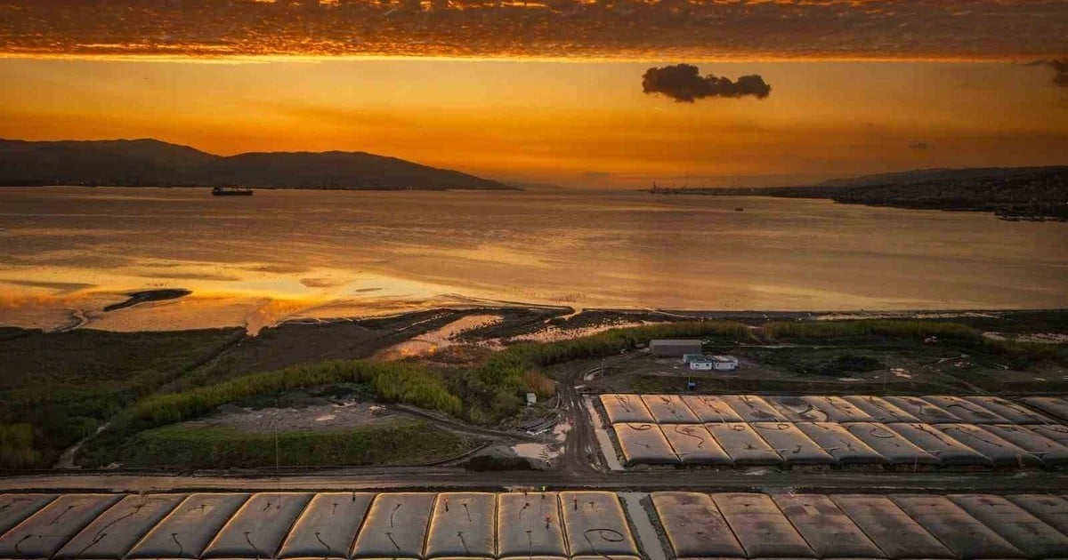 İzmit Körfezi'nin dip çamurundan üretilen seramik resifler 19 Eylül'de denize indirilecek