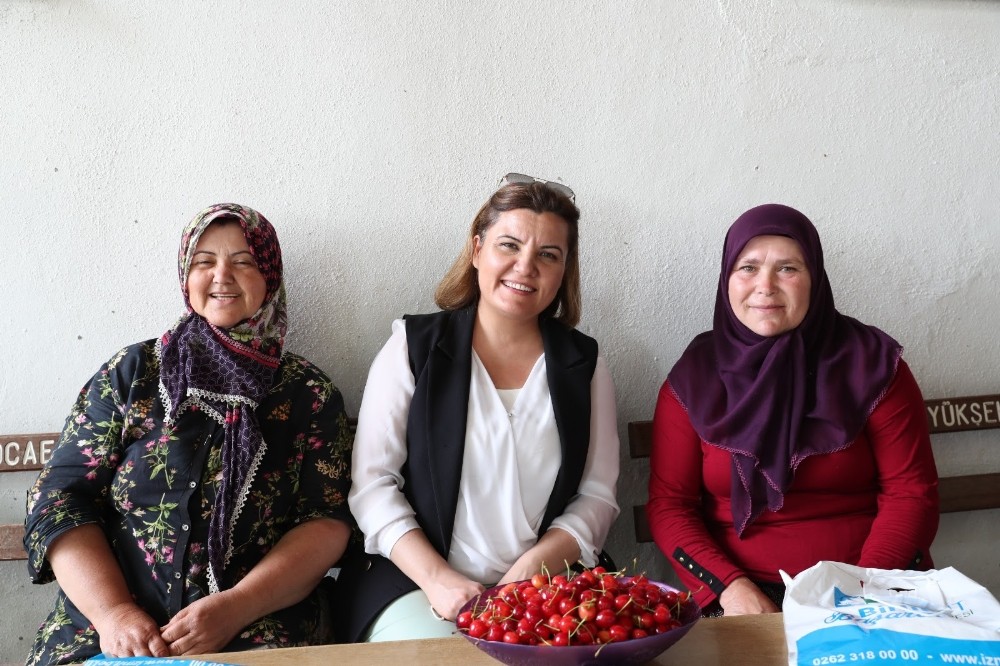 İzmit Kulfallı kirazı ve üzümü ulusal pazara açılacak 