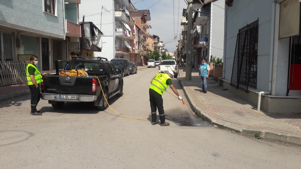 İzmit’in tüm mahalleleri sivrisineğe karşı ilaçlandı 