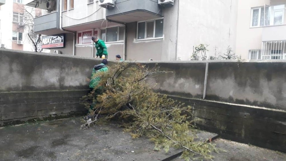 İzmit’te fırtınada devrilen ağaçlara anında müdahale 