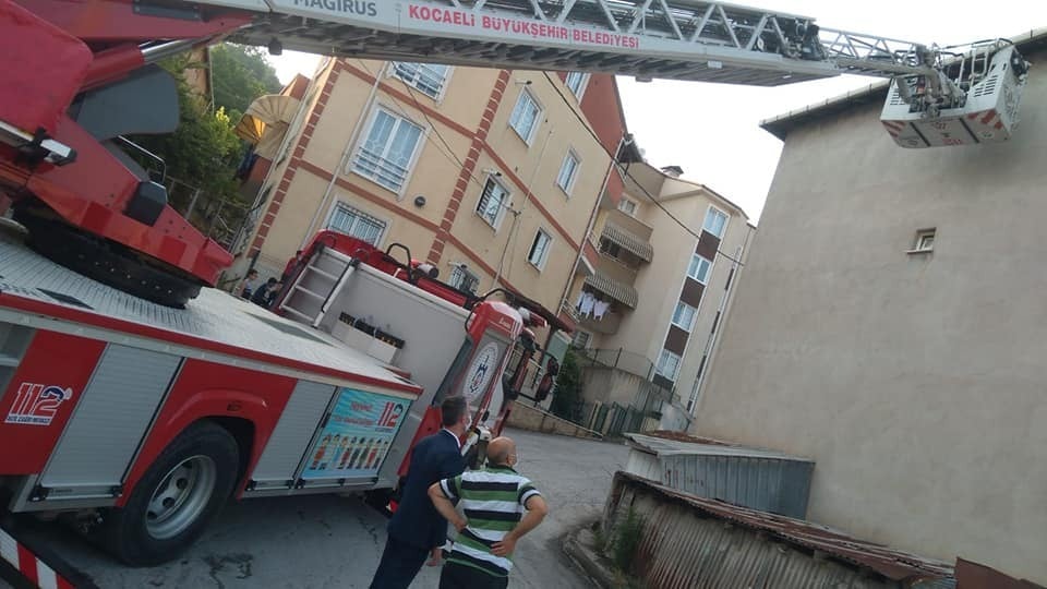 İzmit’te ipe dolanan ebabil kuşunun yardımına itfaiye koştu 