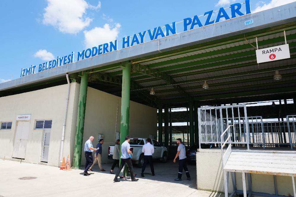 İzmit’te köylülere özel hayvan satış alanı 