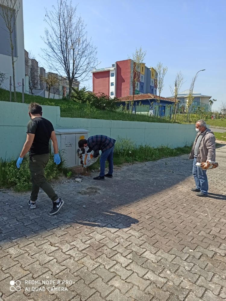 İzmit’te sokak hayvanları aç kalmıyor 