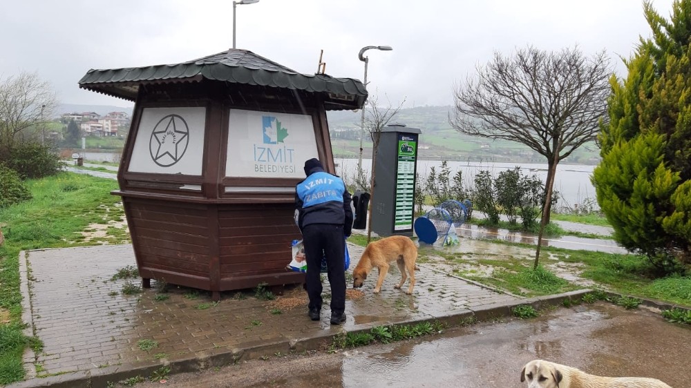 İzmit’te sokak hayvanları unutulmuyor 