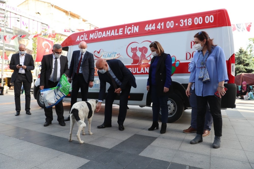 İzmit’te sokak hayvanlarının yadımına ambulans yetişecek 