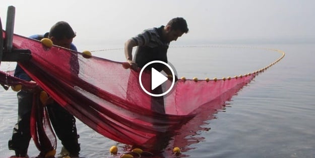 İznik gölü 'gümüş' kaynıyor