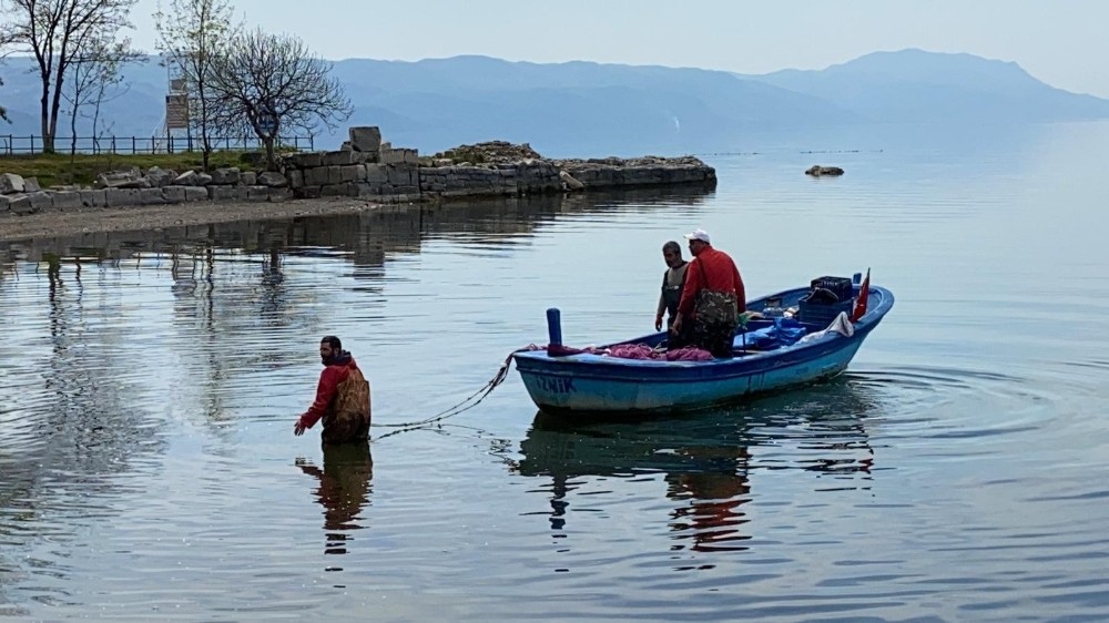 İznik Gölünde gümüş balığı bereketi 
