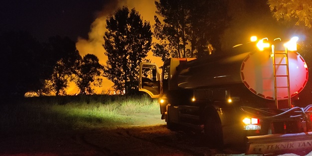 İznik Gölü'nde korkutan yangın!