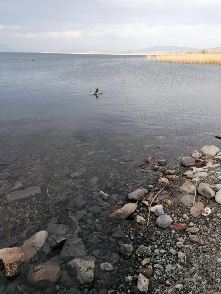 İznik’te göle deşarj söz konusu değil 