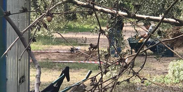 İznik’te korumaya alınan alanda 1 lahit daha bulundu