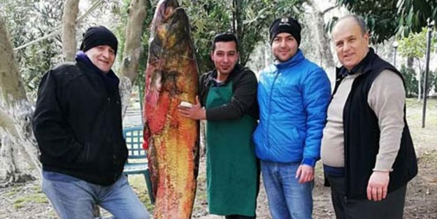 İznik'te yakalayıp ağaca astılar