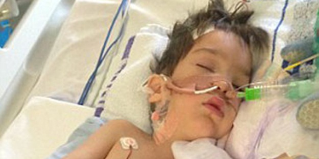 Jambonlu sandviç kalp krizi geçirtti