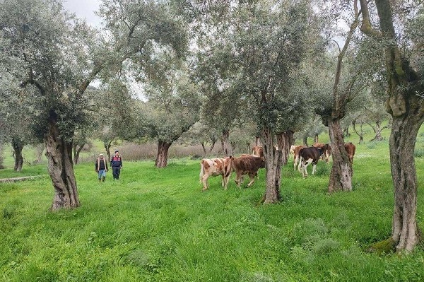 Jandarma 5 kilometre uzaklıkta buldu