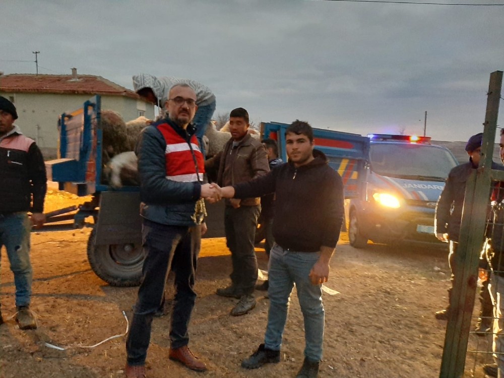 Jandarma çalınan küçükbaş hayvanları buldu sahiplerine teslim etti 