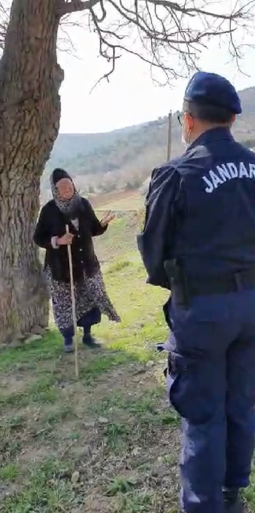 Jandarma dağda hayvan otlatan yaşlı kadını böyle uyardı 