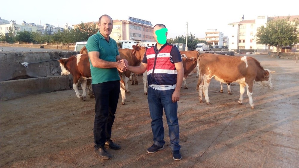 Jandarma ekipleri besicinin 20 yıllık birikimini kurtardı 