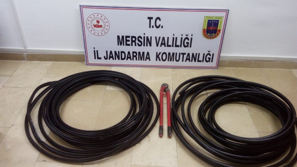 Jandarma ekipleri, hırsızları yakaladı 