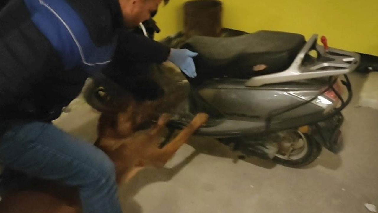 Jandarma geçit vermiyor! Motosikletin koltuk altından esrar çıktı