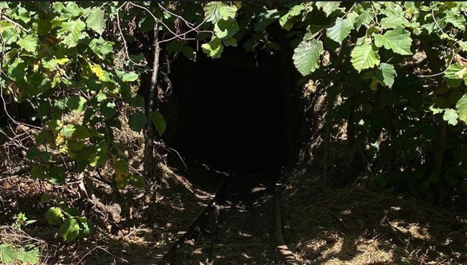 Jandarma göz açtırmıyor! Patlayıcı madde ile imha edildi