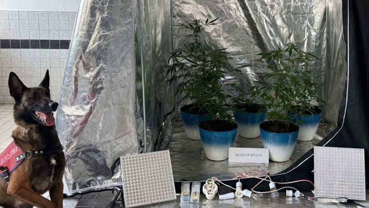 Jandarma narkotik geçit vermedi