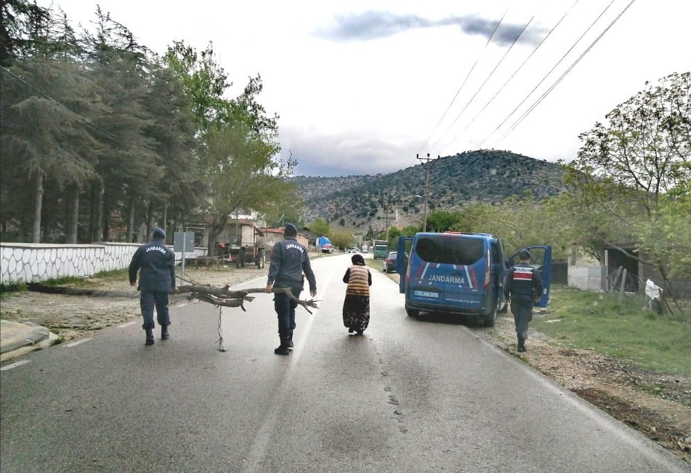 Jandarma odun taşımakta zorlanan yaşlı kadının imdadına yetişti 
