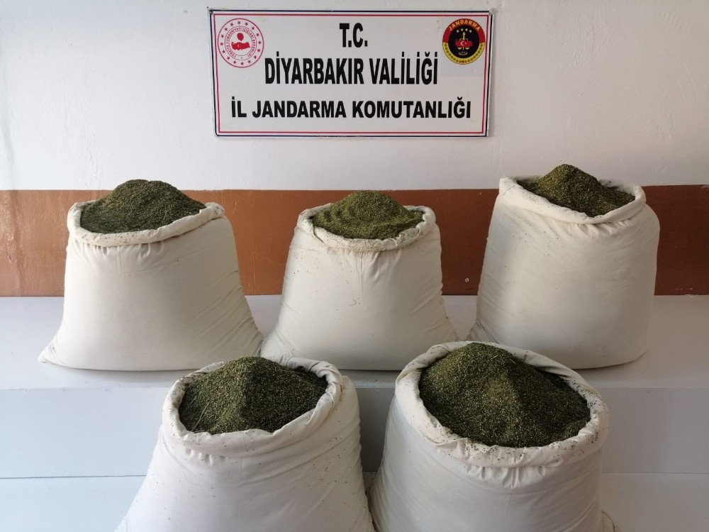 Jandarma operasyonlarından korkup toprağa gömdüğü 162 kilogram esrar ele geçirildi 