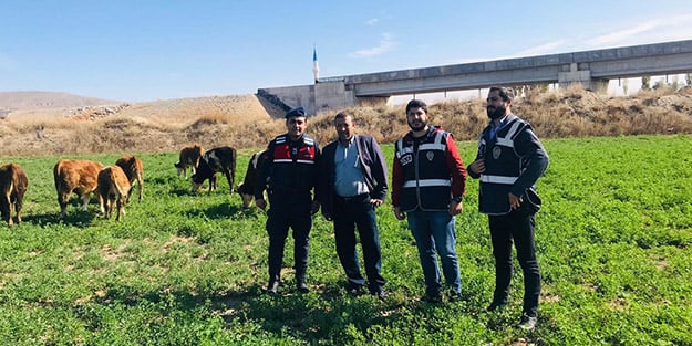 Jandarma ve polis işe koyuldu, kayıplar drone'la arandı!