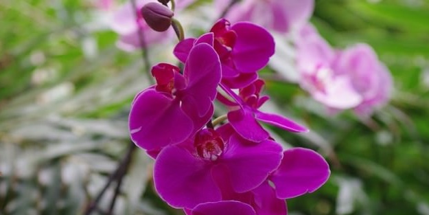 Jandarma yakaladı: 42 bin lira ceza kesti!