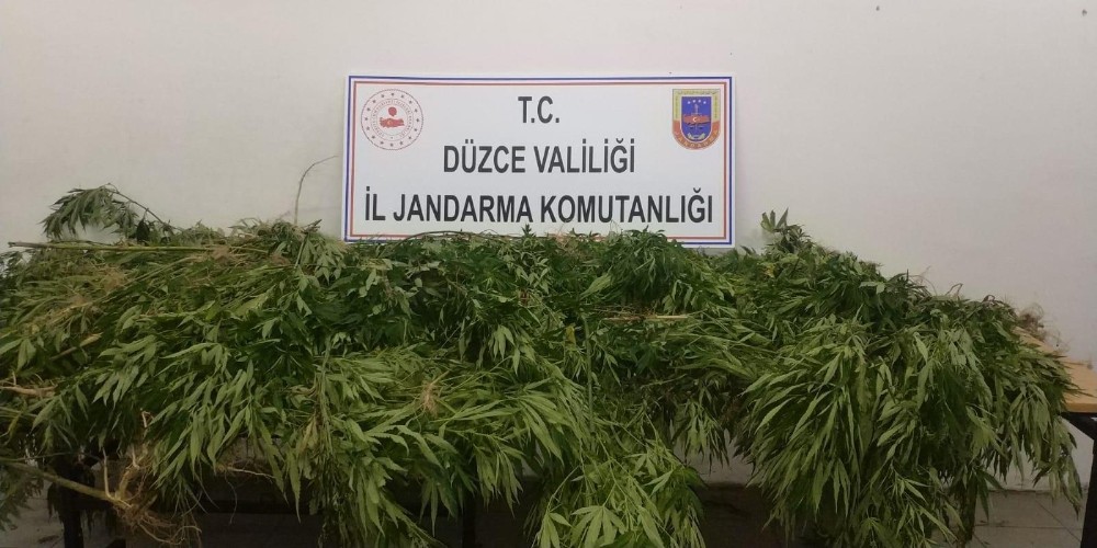 Jandarma zehir tacirlerine geçit yok 
