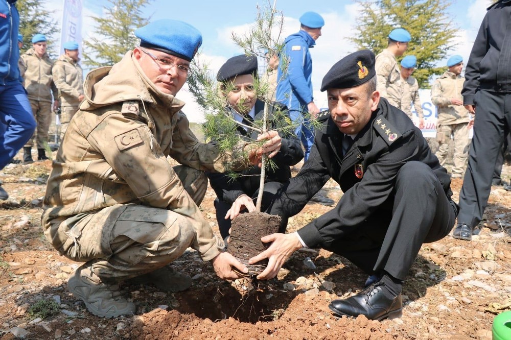 Jandarma’dan ‘180 yılda 180 bin ağaç’ 