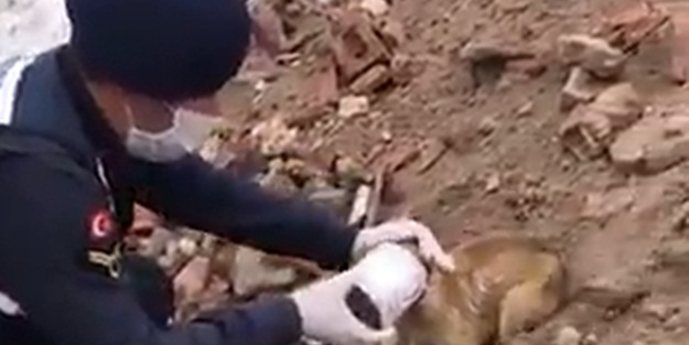 Jandarmadan alkışlanacak hareket