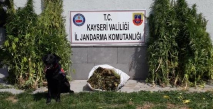 Jandarmadan bayramda uyuşturucu operasyonu: 3 kişi gözaltına alındı